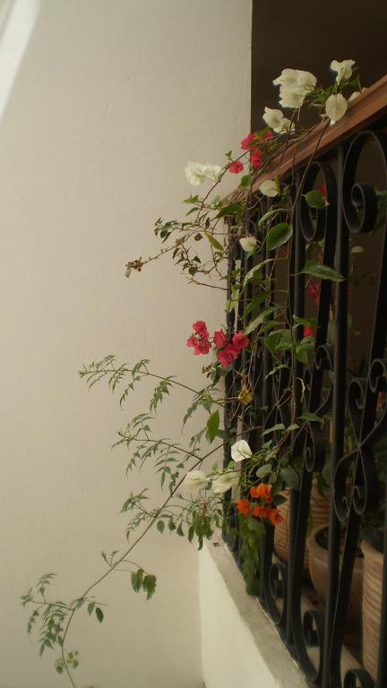 Dar Darek Hotel Essaouira Buitenkant foto