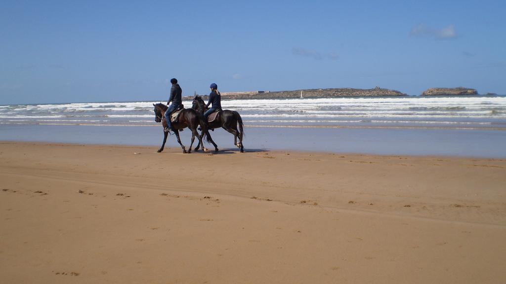 Dar Darek Hotel Essaouira Buitenkant foto